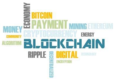 Fiat Currency vs. Cryptocurrency: